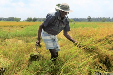 வறட்சியின் கொடூரம் விவசாயிகள் போராட்டத்தில்