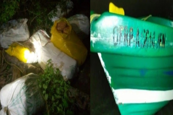 யாழில் மறைத்து வைக்கப்பட்ட 150 கிலோகிராம் கஞ்சா! - ஐபிசி தமிழ்