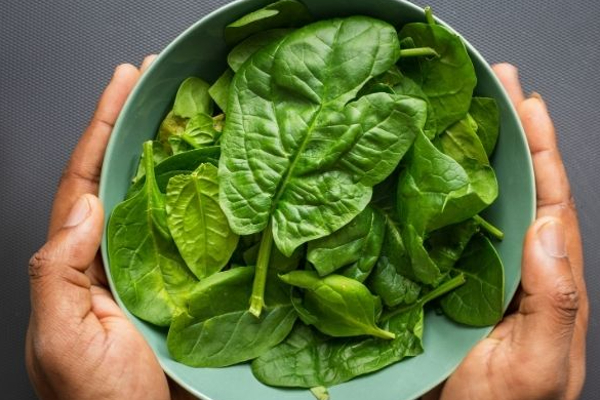 தினசரி ஒரு கீரை சாப்பிடுவதால் என்ன நடக்கும் தெரியுமா? பல நோய்களுக்கு உடனடி தீர்வு | Benefits Of Spinach