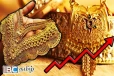 தங்க விலையில் தொடரும் மாற்றம் : இன்றைய நிலவரம்