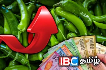 சந்தையில் உச்சம் தொட்ட பச்சை மிளகாயின் விலை