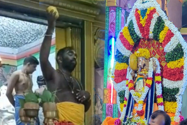 பிரபல ஆலயத்தில் 2 லட்சத்திற்கும் அதிகம் ஏலம் விடப்பட்ட மாம்பழம்! | Mango Auctioned For Over 2 Lakhs Vavauniya Temple
