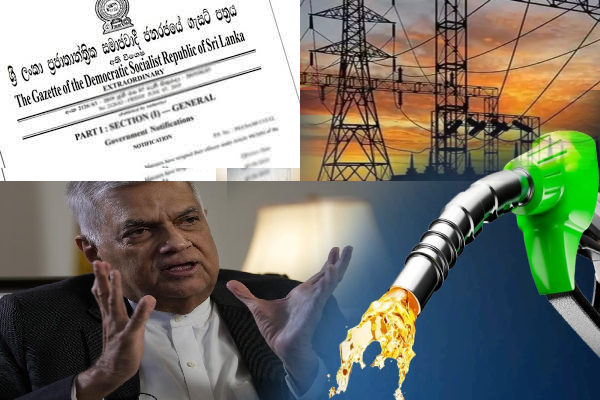 பல சேவைகளை உள்ளடக்கி ஜனாதிபதி வெளியிட்ட வர்த்தமானி | Electricity Fuel Health As Essential Services