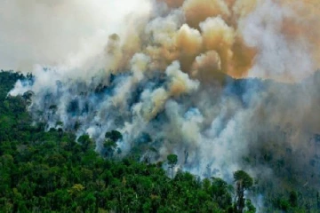 இலங்கையின் பல பகுதிகளில் காட்டுத்தீ! கடுமையான நடவடிக்கைக்கு தயாராகும் அமைச்சர்