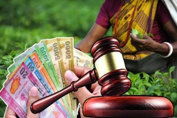 தோட்டத் தொழிலாளர்களின் சம்பள விவகார வர்த்தமானி அறிவித்தல்: உயர் நீதிமன்றம் விடுத்துள்ள தடையுத்தரவு