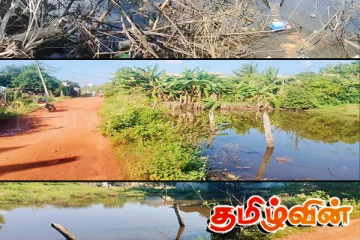டெங்கு அபாயம்: பாடசாலை மாணவர்களின் பாதுகாப்புக்கு அச்சுறுத்தல்