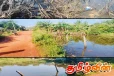 டெங்கு அபாயம்: பாடசாலை மாணவர்களின் பாதுகாப்புக்கு அச்சுறுத்தல்