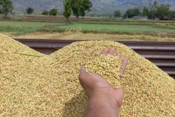 புதிய காப்புறுதித் திட்டம் ; விவசாயிகளுக்கு வெளியான மகிழ்ச்சி தகவல்