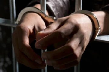 வீட்டில்  கஞ்சாசெடி வளர்த்து வந்த  இளைஞருக்கு விளக்கமறியல்
