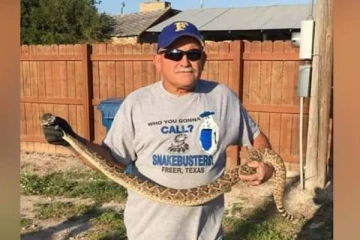 பாம்புகள் என்றால் உயிர்! கொடிய சங்கிலி கருப்பன் பாம்பை வைத்து நிகழ்ச்சி நடத்திய நபருக்கு நேர்ந்த கதி.. எச்சரிக்கை செய்தி