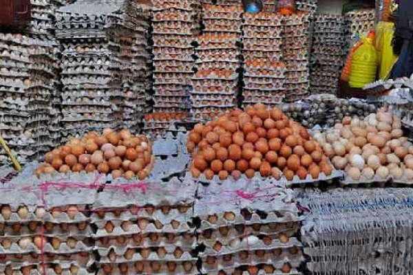 பாண்,பணிஸ் விலை குறையுமா - வெளியானது அறிவிப்பு | Will The Price Of Bread And Panis Decrease