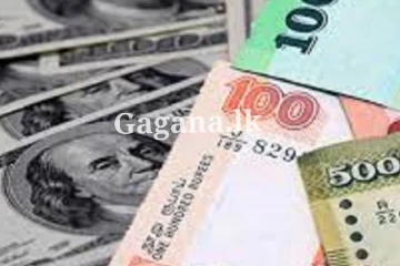 අලුත් මාසයක පටන් ගැන්මේ දී ම ඩොලරයට එකවරම මොකද වුණේ දන්නව ද?. (PHOTO)