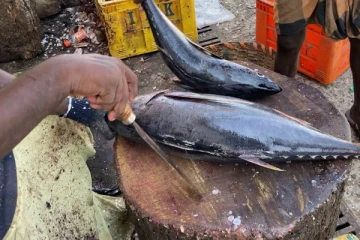 யாழில் புகைப்பிடித்தவாறு மீன் வெட்டியவருக்கு தண்டம்