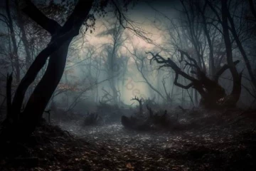 உலகின் மர்மமான அமானுஷ்யங்கள் நிறைந்த காடுகள் - தப்பித்தவறி கூட இங்க போய்விடாதீர்கள்..!