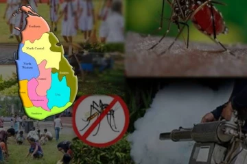 இன்று முதல் விசேட டெங்கு ஒழிப்பு வாரம் நடைமுறை