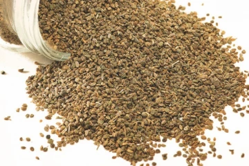 ஓமம் நீரை குடிப்பதனால் கிடைக்கும் அற்புத மருத்துவ பயன்கள்! இந்த பிரச்சனைக்கு கூட தீர்வு