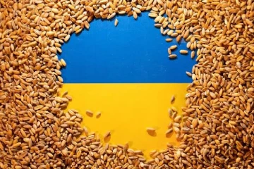 உக்ரைன் உணவு தானியங்களுக்கு மீண்டும் வரிச்சலுகை அளித்த ஐரோப்பிய ஒன்றியம்