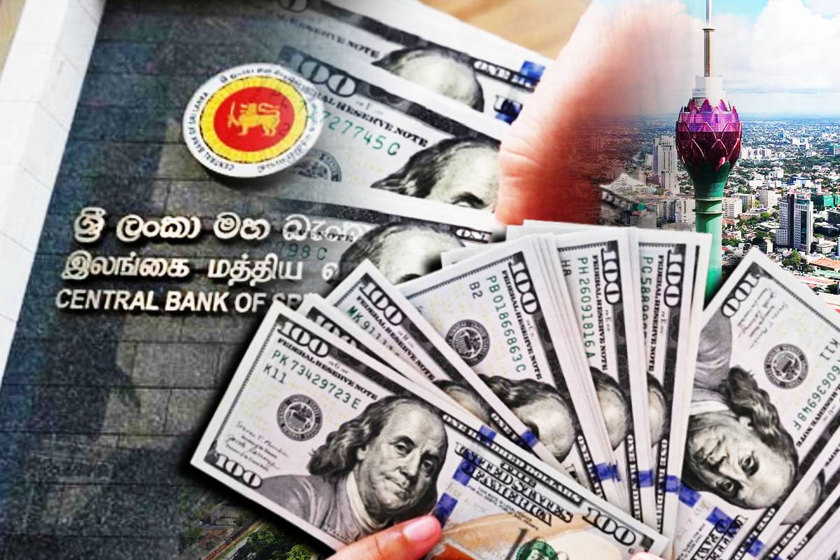 அமெரிக்க டொலருக்கு நிகரான இலங்கை ரூபாவின் பெறுமதியில் வீழ்ச்சி | Change Recorded In Selling Price Us Dollar Today அமெரிக்க டொலருக்கு நிகரான இலங்கை ரூபாவின் பெறுமதியில் வீழ்ச்சி | Change Recorded In Selling Price Us Dollar Today