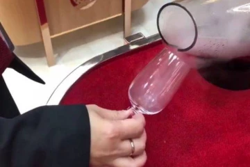 சிங்கப்பூர் விமானநிலையத்தில் பல்லாயிரக்கணக்கான ரூபாய்க்கு விற்கப்பட்ட பொருள்