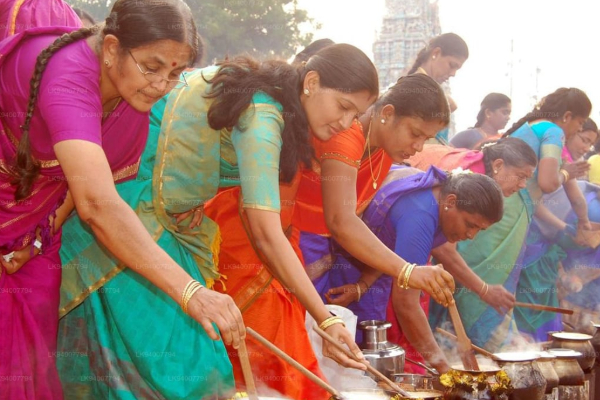 நாட்டில் பொருளாதார வளம் கொழிக்க பொங்கலிடுவோம் | Thai Pongal 2026 நாட்டில் பொருளாதார வளம் கொழிக்க பொங்கலிடுவோம் | Thai Pongal 2026