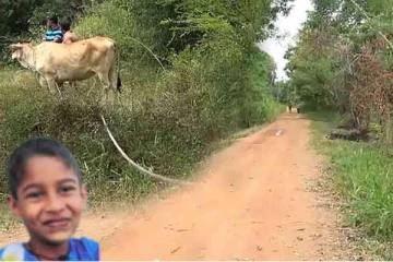 பசுவுடன் விளையாடிய சிறுவனுக்கு காத்திருந்த ஆபத்து ; சோகத்தில் தவிக்கும் குடும்பம்