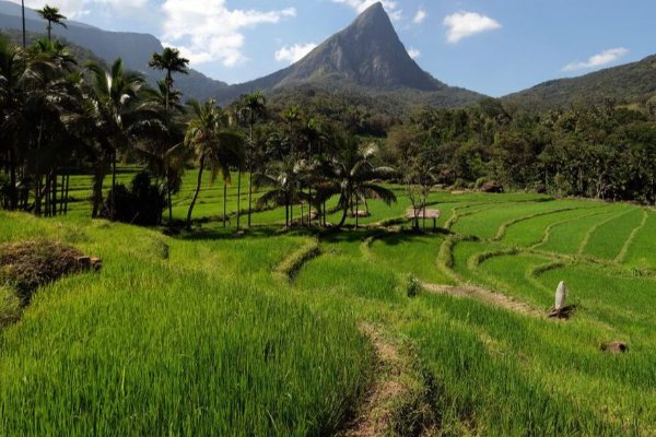 உயிரிழந்த மகளின் நினைவாக 47 குடும்பங்களுக்கு காணி தானம்; இலங்கையில் நெகிழ வைத்த தந்தை | Father Donates Land To 47 Families Memory Daughter உயிரிழந்த மகளின் நினைவாக 47 குடும்பங்களுக்கு காணி தானம்; இலங்கையில் நெகிழ வைத்த தந்தை | Father Donates Land To 47 Families Memory Daughter