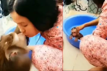 Viral Video:குட்டிக் குரங்கை குளிப்பாட்டி அழகு பார்த்த பெண்ணுக்கு முத்த மழை பொழிந்த அம்மா குரங்கு!