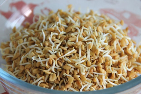 எடையை குறைக்க தினமும் கொஞ்சம் வெந்தயம் போதும் ; நீங்கள் நினைப்பதைவிட அதிக மாற்றங்கள் நிகழும் | Fenugreek Daily Helps Reduce Body Weight