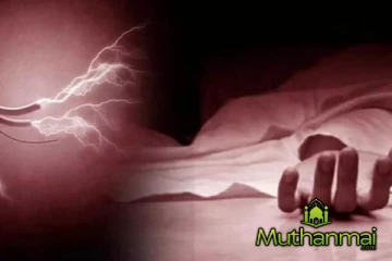 மின்சாரம் தாக்கி இரண்டு பேர் உயிரிழப்பு