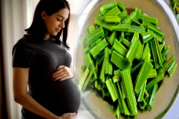 ஆறுவகை நோய்களுக்கு தீர்வாகும் பிரண்டை! கர்ப்பிணி பெண்கள் மறந்தும் சாப்பிடாதீங்க