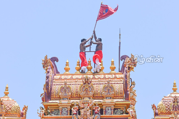 நல்லூர் வரவேற்பு வளைவில் சேவல் கொடி கட்டும் நிகழ்வு (Photos) | Historic Nallur Kandaswamy Annual Festival