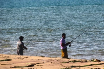 கடலிற்கு சென்ற இளைஞர்களுக்கு அடித்த அதிஷ்டம்!(Photo)