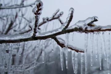 டொரொண்டோவில் உறைபனிபொழிவு குறித்து எச்சரிக்கை