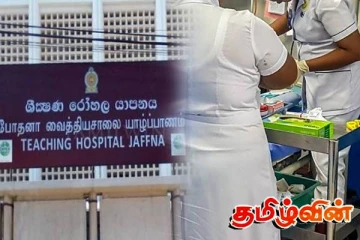 தமிழர் பகுதியில் வெட்டு காயங்களுக்கு உள்ளான நிலையில் மீட்கப்பட்ட இளைஞன்! தீவிர சிகிச்சை பிரிவில் அனுமதி