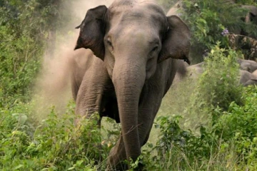 முல்லைத்தீவில் குடும்பஸ்தர் ஒருவருக்கு நேர்ந்த சோகம்!