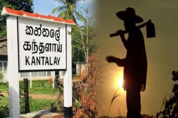 தமிழர் பகுதியில் அதிகரிக்கும் காட்டு யானை அட்டகாசம் - 43 வயது விவசாயிக்கு நேர்ந்த துயரம்