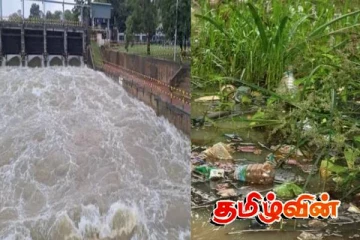 வேகமாக மாசடைந்து வரும் கிளிநொச்சி குளம்: குவியும் முறைப்பாடுகள்