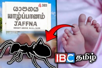யாழில் துயர சம்பவம் : எறும்பு கடித்ததில் 21 நாளேயான சிசு உயிரிழப்பு