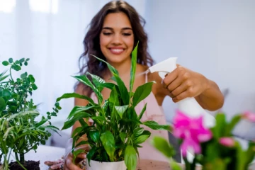 என்ன கஷ்டங்கள் இருந்தாலும் இந்த செடிகள் வீட்டில் இருந்தாலே போதும்