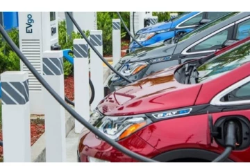 வாகனங்களை இறக்குமதி செய்ய அனுமதி