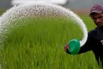 පොහොර සම්බන්ධයෙන් රටටම සුබ පණිවිඩයක්..