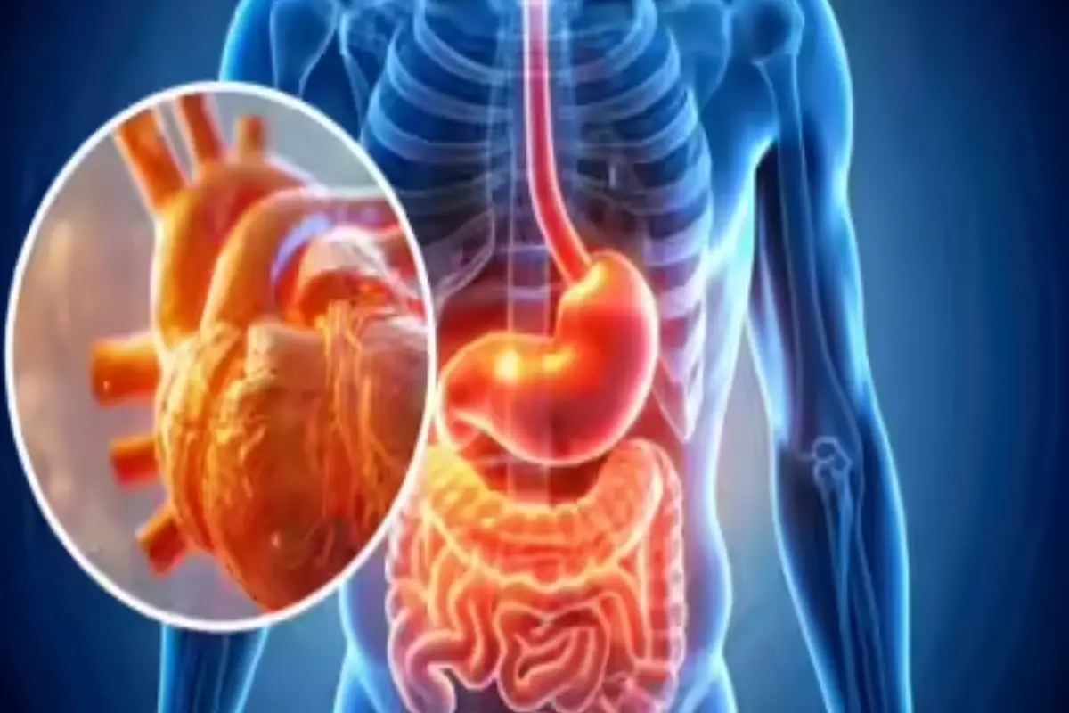 உயிரிழப்பை ஏற்படுத்தக்கூடும்! அறிகுறிகள் இருந்தால் உடனடியாக வைத்திய பரிசோதனை செய்யுமாறு எச்சரிக்கை | Gastritis And Fatty Liver Disease Warrning People