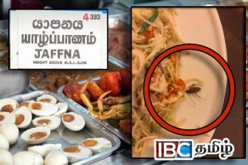 யாழில் ஹோட்டல் ஒன்றில் கரப்பான் பூச்சியுடன் வழங்கப்பட்ட நூடில்ஸ்!