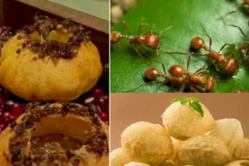 எறும்பால் பானிபூரியை அலங்கரித்த சமையல்காரர்: கொந்தளிப்பில் நெட்டிசன்கள்