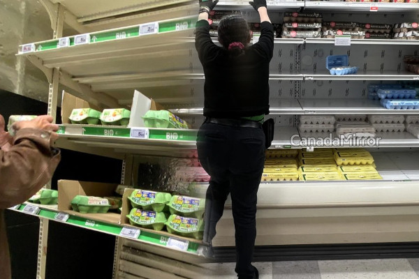 பிரான்ஸ் சூப்பர் மார்க்கெட்டுகளில் முட்டைக்கு தட்டுப்பாடு | There Is A Shortage Of Eggs In French Supermarkets பிரான்ஸ் சூப்பர் மார்க்கெட்டுகளில் முட்டைக்கு தட்டுப்பாடு | There Is A Shortage Of Eggs In French Supermarkets