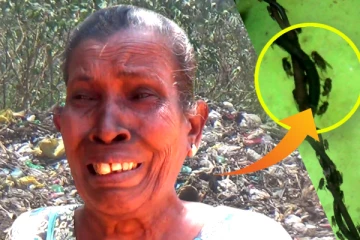 கிருமி தாக்கத்தால் மகளை பறிகொடுத்த தாய் - கிராமமே கண்ணீர்விடும் சோகம்! (Video)