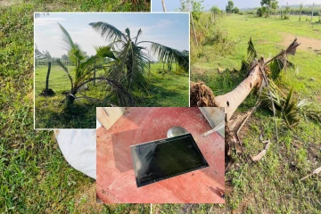 அட்டாளைச்சேனையில் அட்டகாசம் செய்த காட்டு யானைகள்! தவிர்க்கப்பட்ட பாரிய உயிர் சேதம்