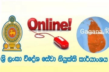 ලංකාවේ සිට විදෙස් රැකියාවක් කරන්න අලුත් වීසා බලපත්‍රයක් හදුන්වා දෙයි..