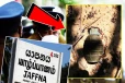 யாழில் போர்க்காலக் கையெறி குண்டு மீட்பு!