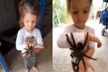 ராட்சத சிலந்தியை கையில் பிடித்து அசால்டாக விளையாடும் சிறுவன்; வைரல் வீடியோ